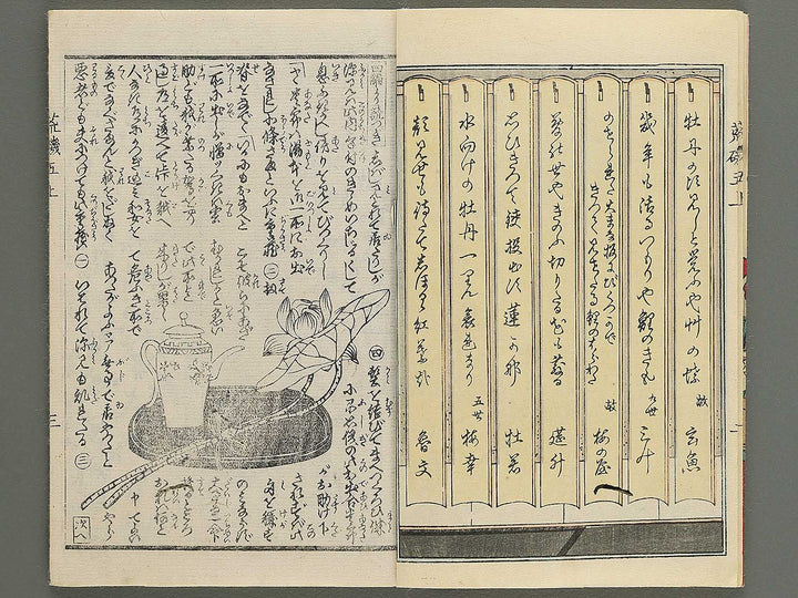 Araiso ryori koi no harawata Volume 5, (Jo) by Morikawa Chikashige / BJ347-382