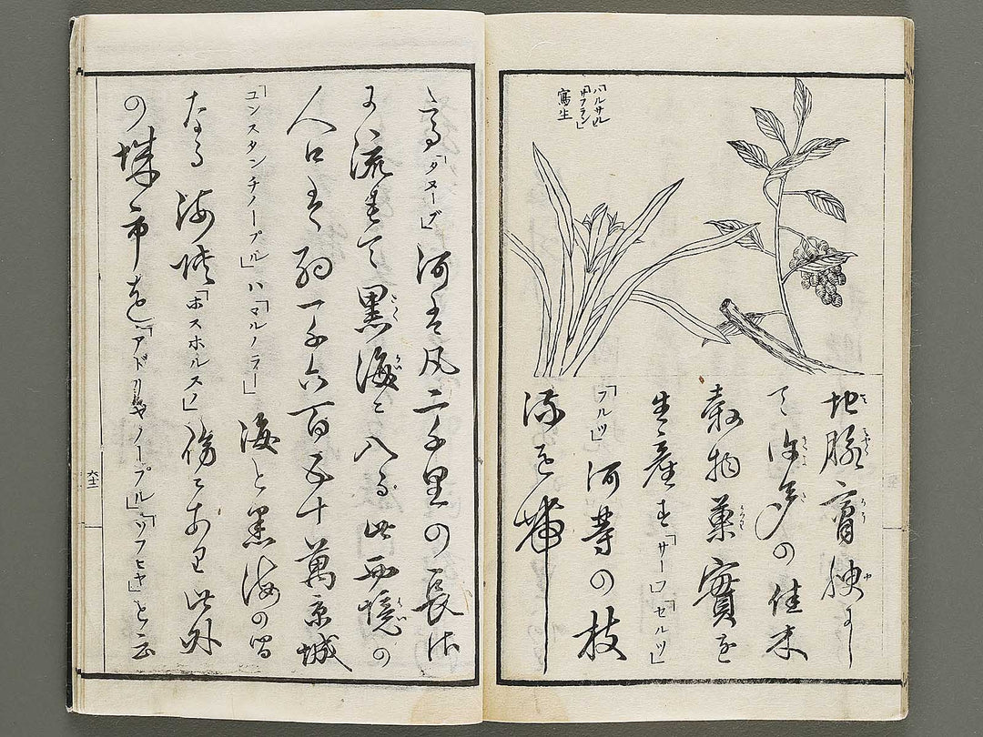 Soga Chigaku orai (yoroppashu no bu, ge) by Hashimoto Gyokuransai / BJ330-715