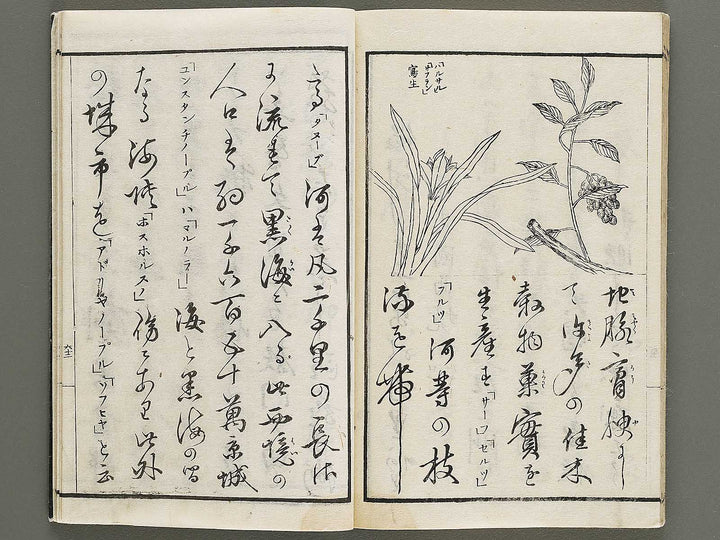 Soga Chigaku orai (yoroppashu no bu, ge) by Hashimoto Gyokuransai / BJ330-715