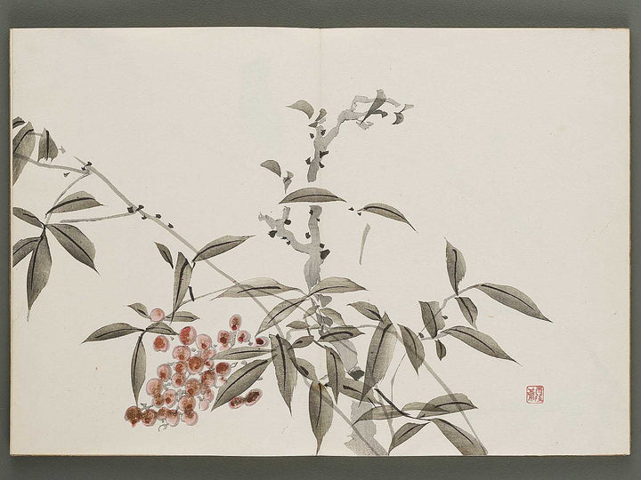 Kajo shugacho Volume 1 by Matsuda Kajo / BJ333-487