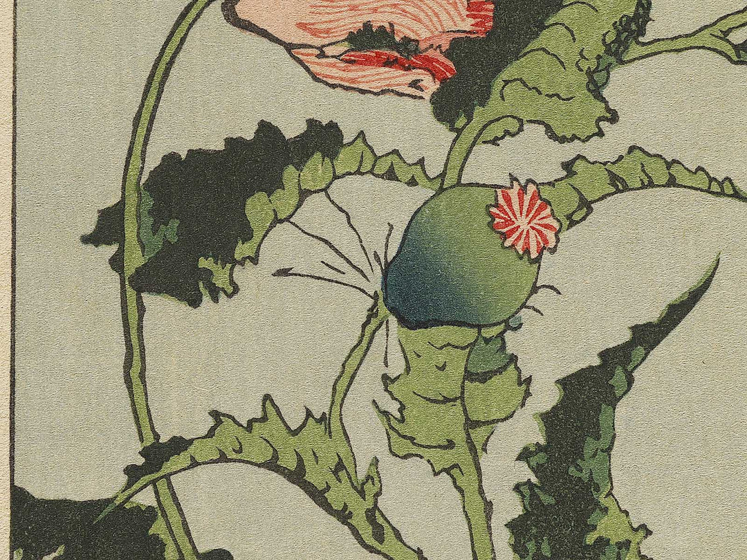 A poppy by Katsushika Hokusai, (Medium print size) / BJ321-734