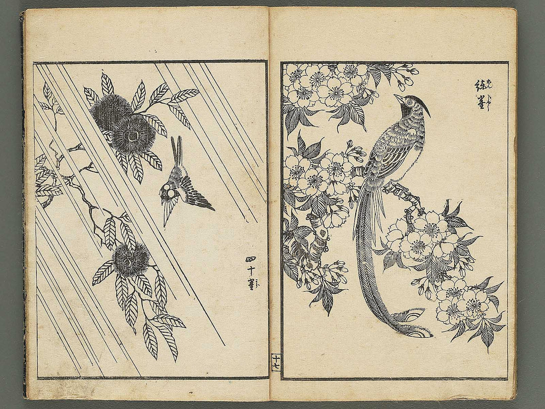 Kacho gafu by Asai Osui / BJ345-842