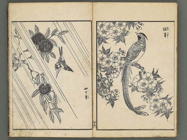Kacho gafu by Asai Osui / BJ345-842