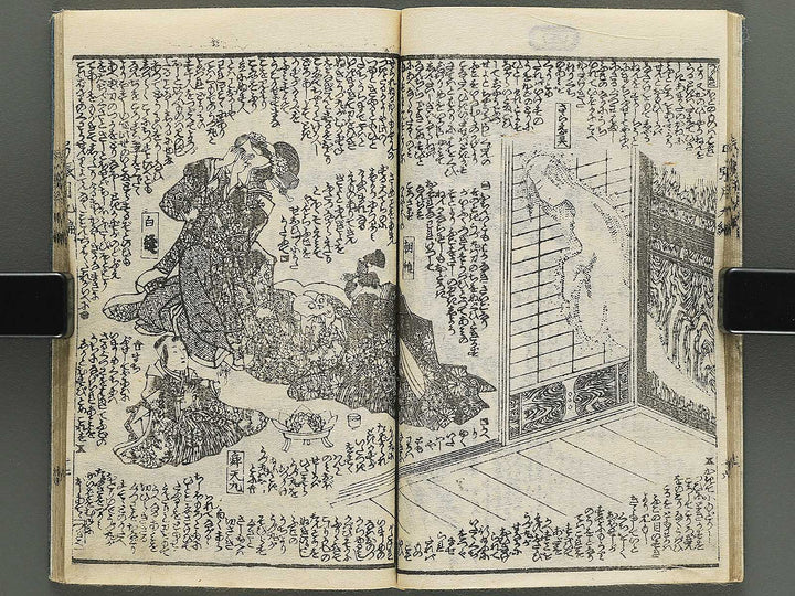 Shunyo yumiharizuki Volume 9-10 by Utagawa Kuniteru / BJ343-280