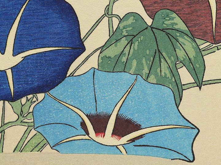 Asagao from the series Shiki no hanazukushi by Utagawa Hiroshige, (Medium print size) / BJ330-547