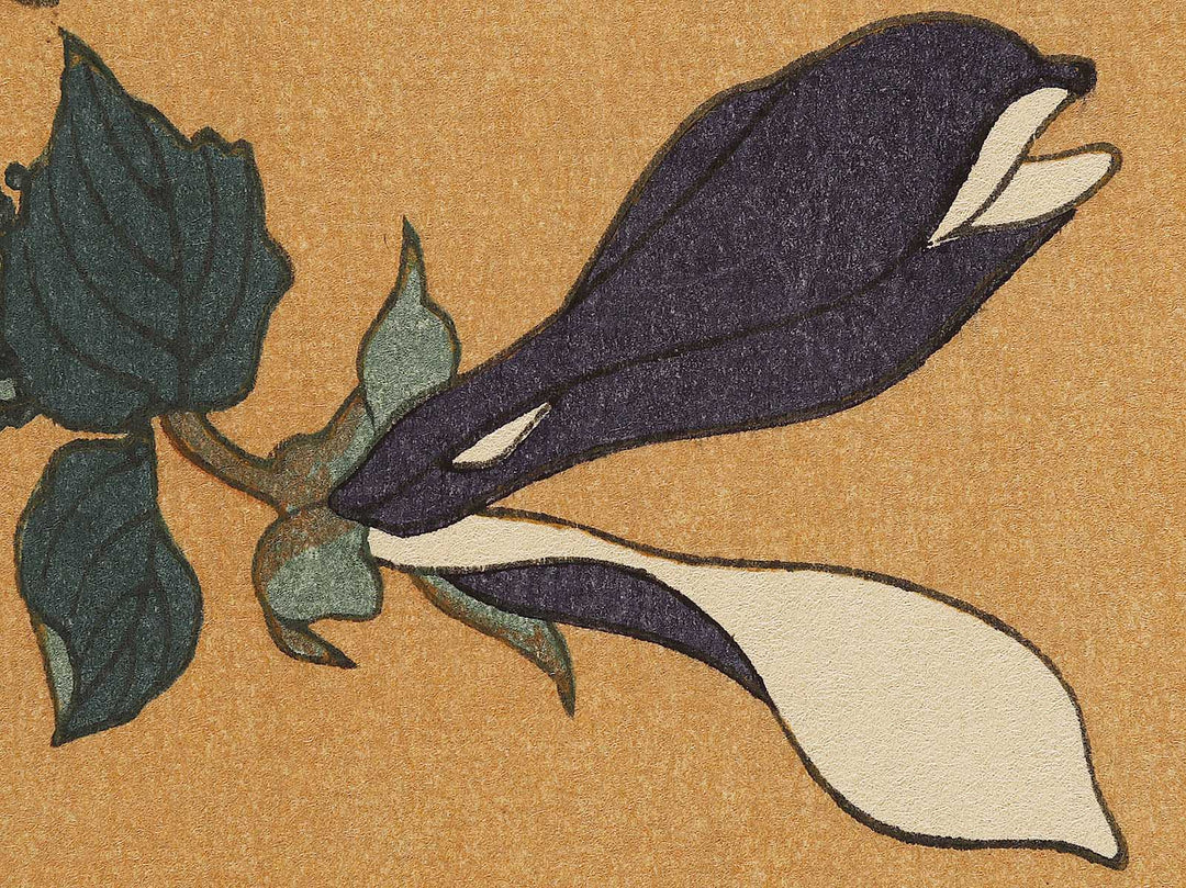 Buncho kobushi no hana by Katsushika Hokusai, (Large print size) / BJ336-119