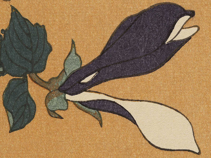 Buncho kobushi no hana by Katsushika Hokusai, (Large print size) / BJ336-119