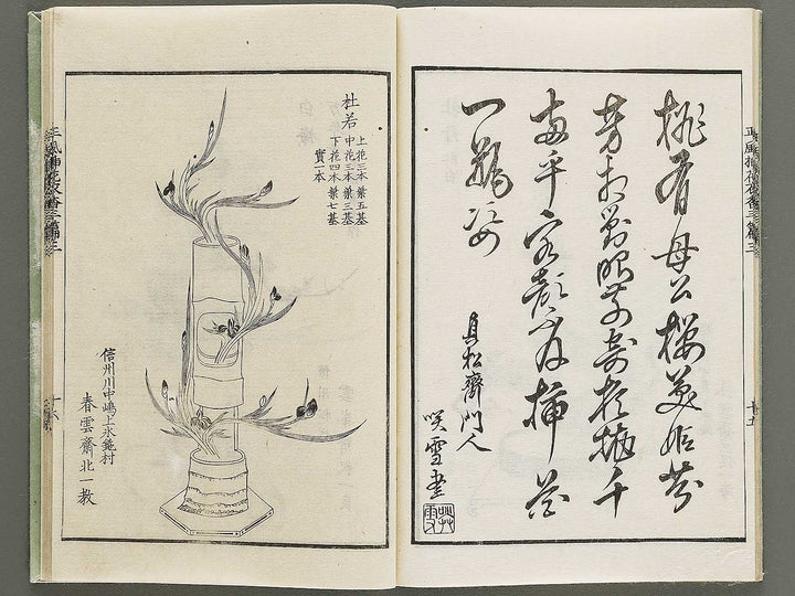 Shofu soka koromo no ka Part 3, Book 3 by Tawaraya Sori / BJ333-851