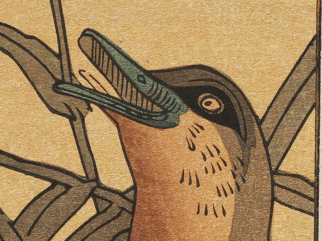 Duck and Kingfisher from the series Momotidori kyoka awase by Kitagawa Utamaro, (Large print size) / BJ328-349