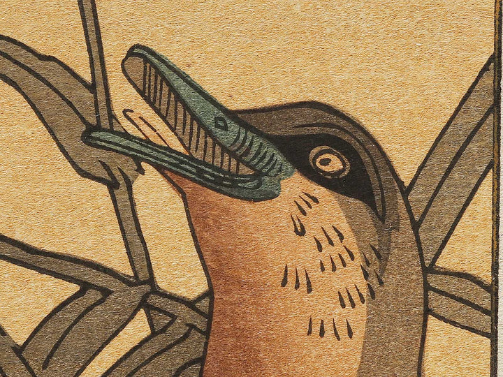 Duck and Kingfisher from the series Momotidori kyoka awase by Kitagawa Utamaro, (Large print size) / BJ328-349