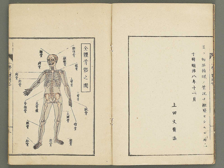 Shogaku jintai mondo / BJ352-884