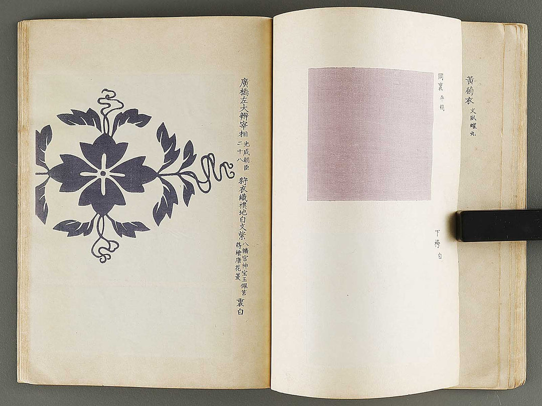 Kojitsu sosho shokumon zue Miyukibu kohen / BJ321-377