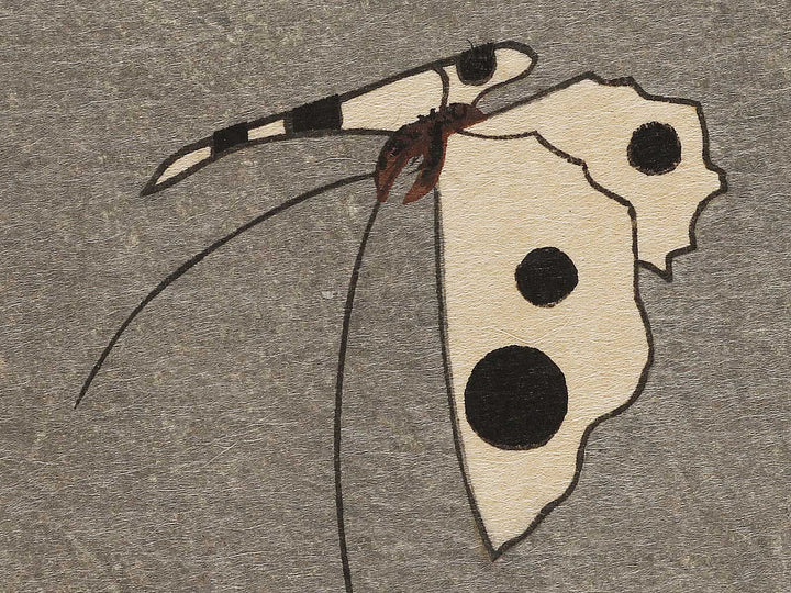 Kiku ni cho by Utagawa Hiroshige, (Large print size) / BJ324-737