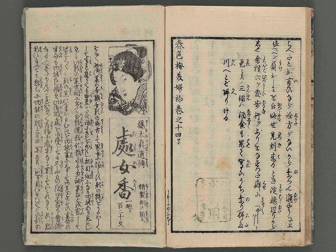 Shunshoku ume mibune Vol.14 / BJ233-604