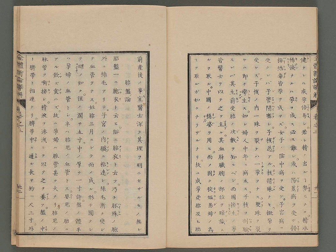 Zentai shinron yakukai (jin) / BJ249-207