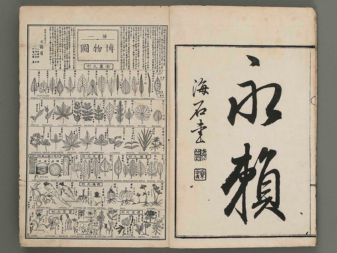 Hakubutsu kyojyuho Volume 1 / BJ266-147