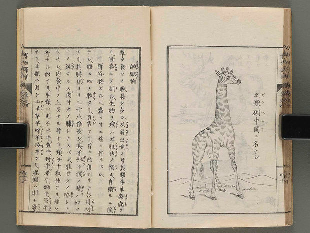 Hakubutsu shinpen yakkai Volume 4 / BJ273-728