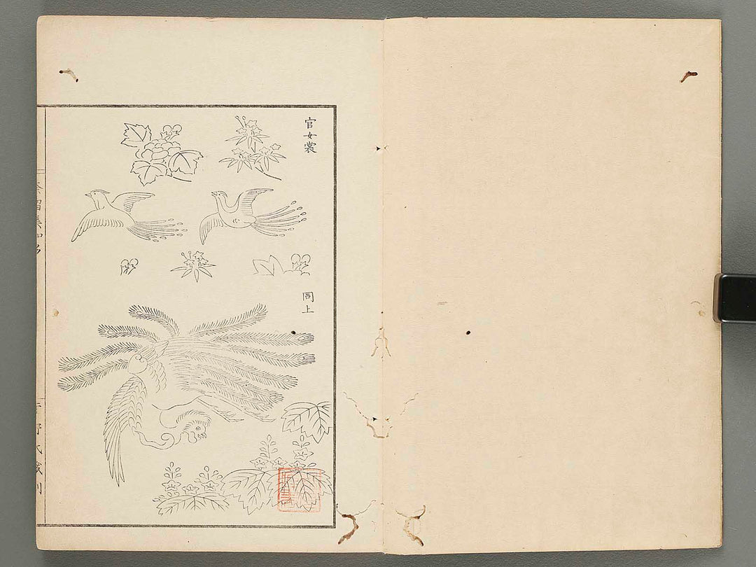 Narumikata Volume 3 by Odagiri Shunko / BJ285-145