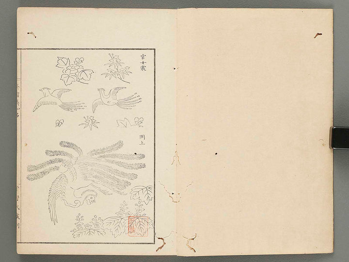 Narumikata Volume 3 by Odagiri Shunko / BJ285-145