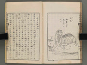 Hakubutsu shinpen yakkai Volume 4 / BJ273-728