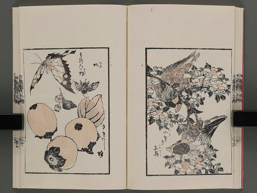 Banshoku zuko Vol.5 by Katsushika Hokusai or, Katsushika Taito(but, details are unknown.) / BJ233-744