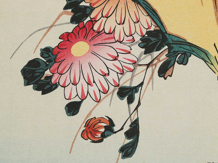Chrysanthemum & pheasant by Utagawa Hiroshige, (Medium print size) / BJ300-244