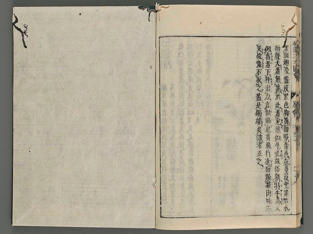 Wakan sansai zue Vol.42 / BJ219-443