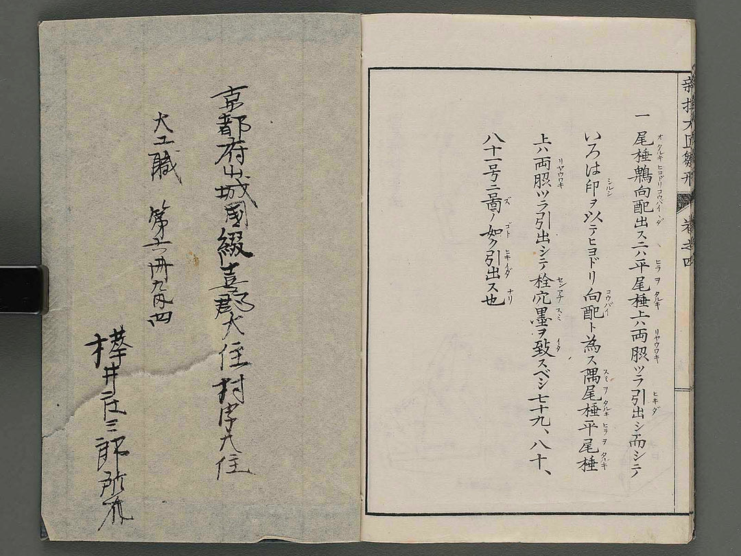 Shinsen taisho hinagata taizen Vol.4 / BJ251-860