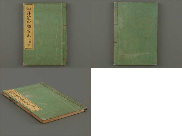 Seiyo douchu hizakurige (ge) part7 / BJ182-721