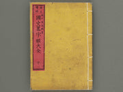 Kokushiryaku zirui taizen (Chu) / BJ275-499