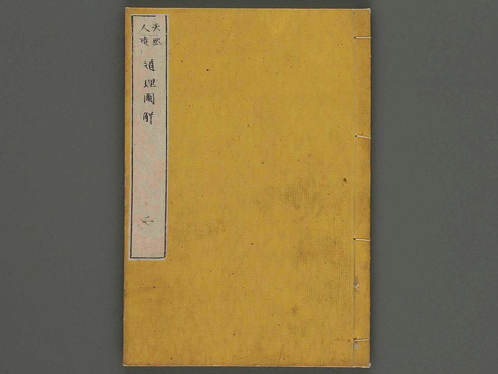 Dori zukai Vol.2 / BJ231-364
