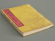 Kokushiryaku zirui taizen (Chu) / BJ275-499