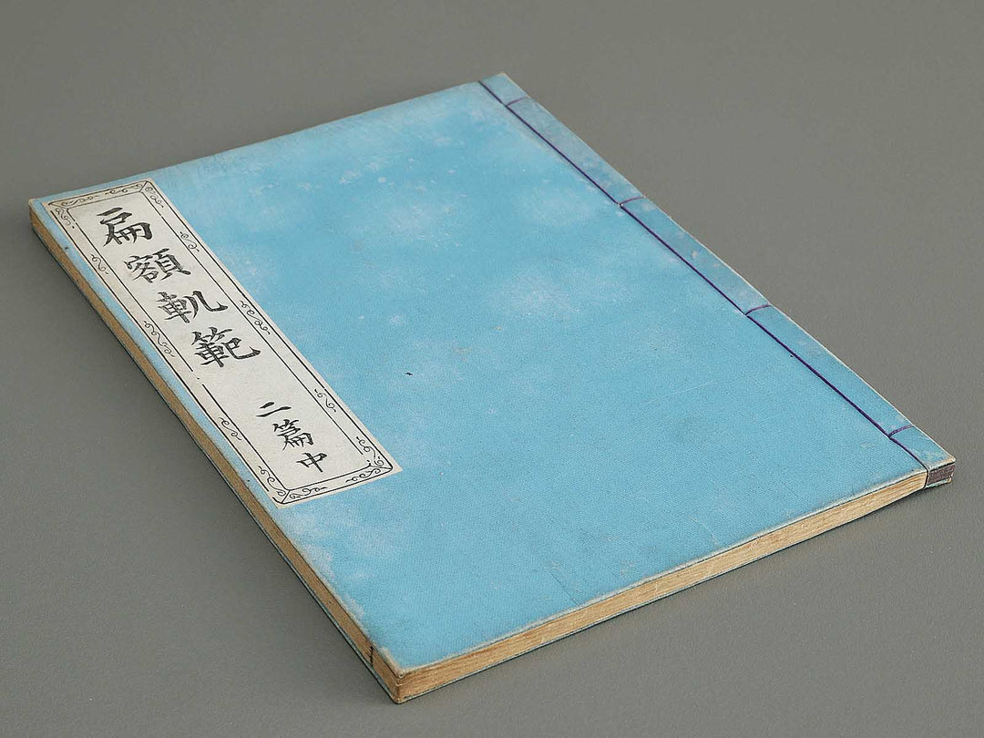 Hengakukidan Volume 2, (Ge) by Hayami Shungyosai / BJ295-918