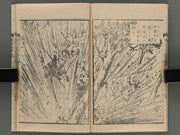 Jijo meiji taihei ki Vol.5 (ge) / BJ249-305