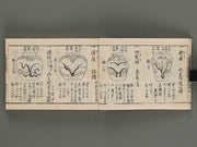 Kokon wakan bannpo zensho Volume 7 / BJ269-255