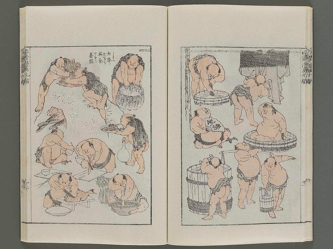 Hokusai manga Volume 9 by Katsushika Hokusai / BJ270-627
