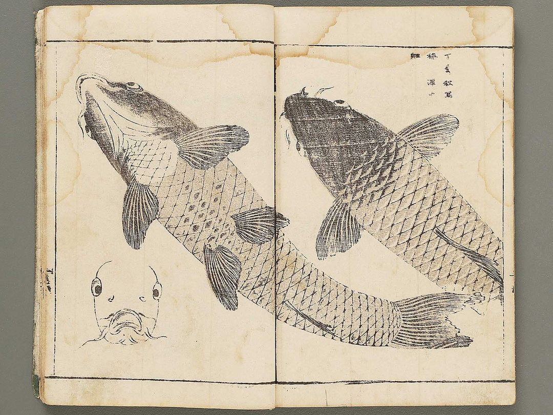 Choko hinagata (Zen) by Futatsuyanagi Mabuchi / BJ294-147