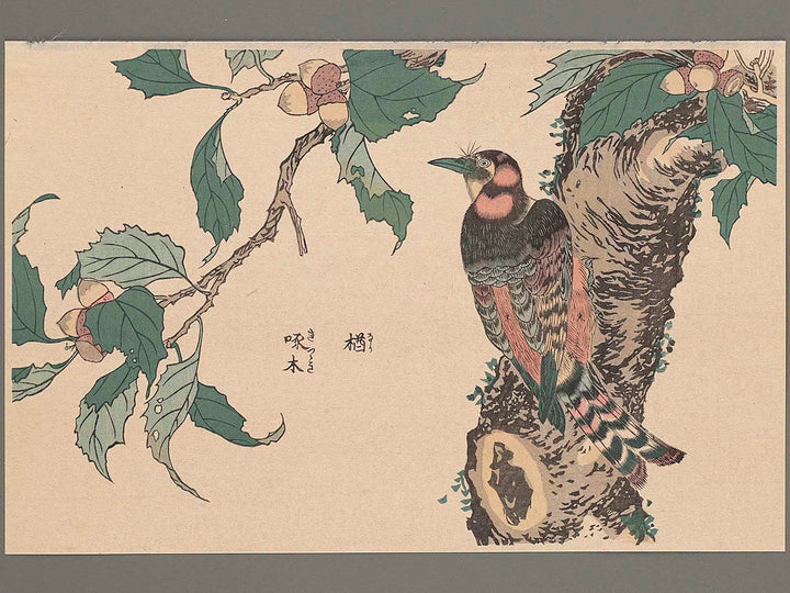 Flower and Bird by Shigemasa / BJ265-125