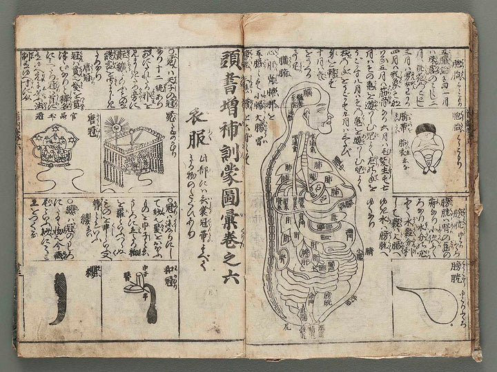 Kashiragaki zoho kinmo zui Volume 4-6 by Shimokobe Shusui / BJ285-677