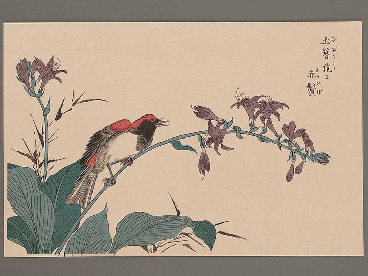 Flower and Bird by Shigemasa / BJ265-160