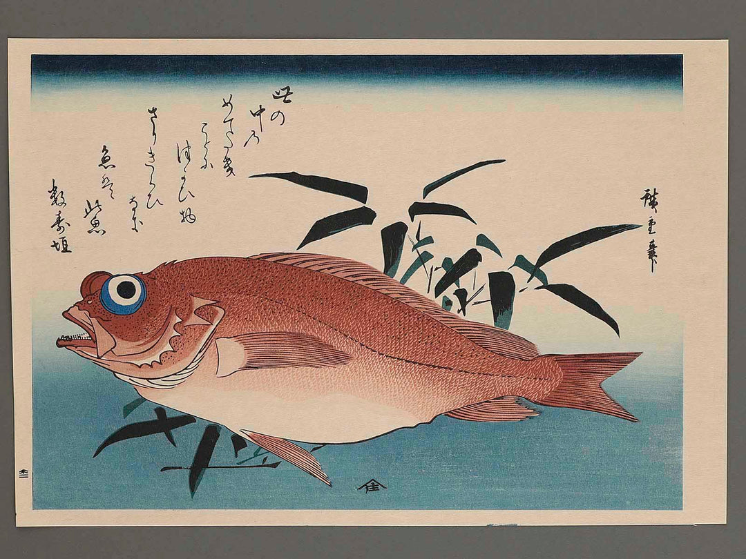Rosefish & Bomboo Grass from the series the series FISH by Utagawa Hiroshige, (Large print size) / BJ227-710