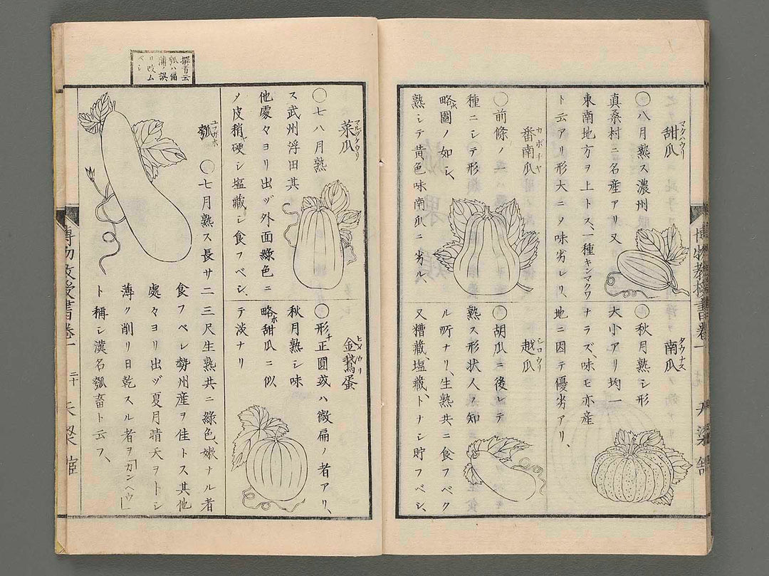 Hakubutsu kyoujusho Vol.1 / BJ210-686