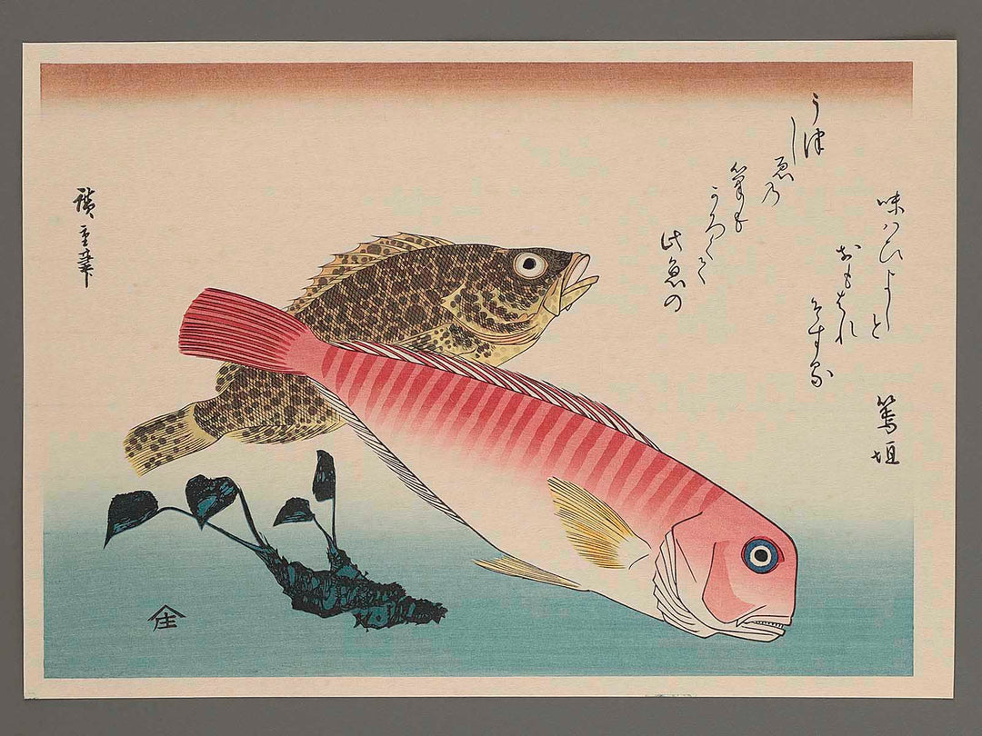 Bream, Rockfish & Wasabi from the series the series FISH by Utagawa Hiroshige, (Large print size) / BJ227-703