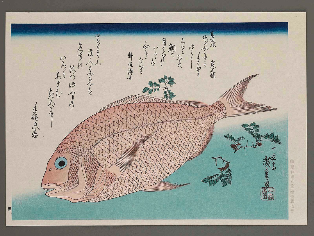 Sea Bream & Japanese Pepper from the series the series FISH by Utagawa Hiroshige, (Large print size) / BJ237-643