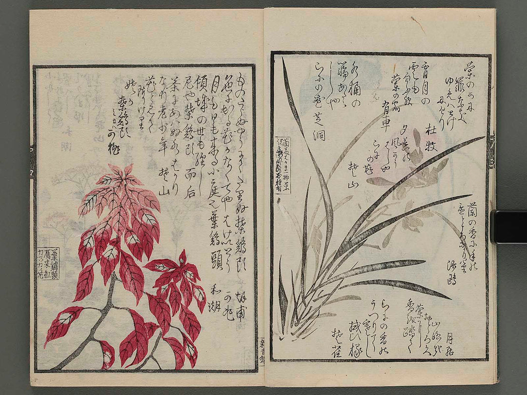 Meika gafu kusanonashu (aki no bu) / BJ243-698
