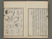 Hakubutsu Shinpen Volume 2 / BJ281-414