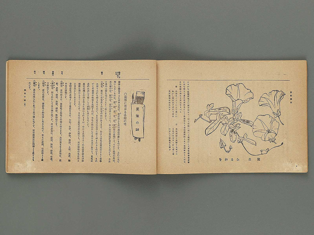 Kaiga koshu roku (Dai6kai Volume6) / BJ298-900