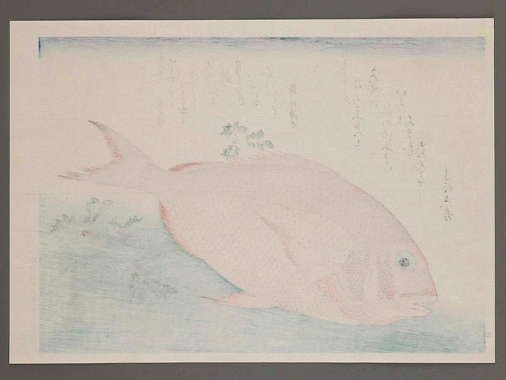 Sea Bream & Japanese Pepper from the series the series FISH by Utagawa Hiroshige, (Large print size) / BJ237-643