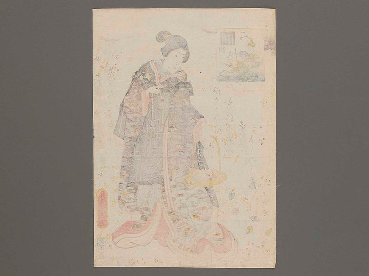 Asagao by Utagawa Kunisada(Toyokuni III) / BJ285-481
