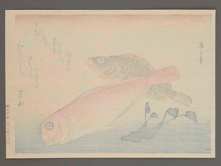 Bream, Rockfish & Wasabi from the series the series FISH by Utagawa Hiroshige, (Large print size) / BJ227-703